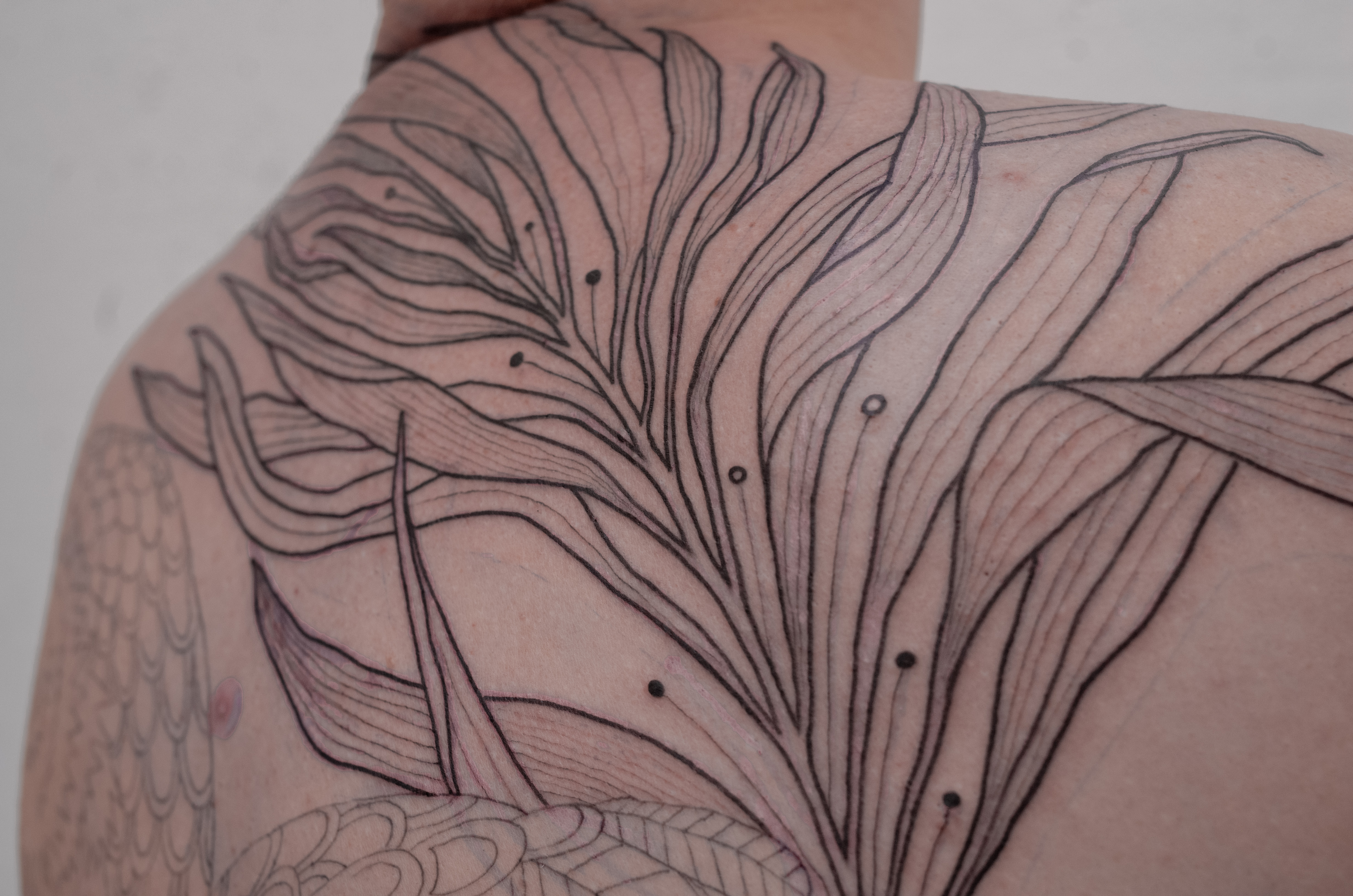 Detailed botanical illustrative tattoo by zKe